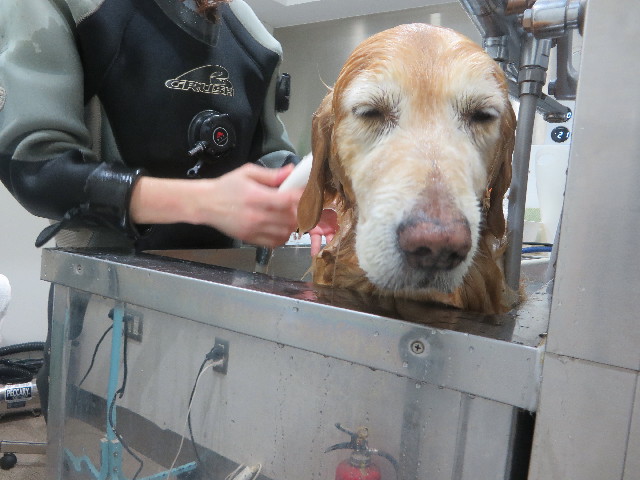 ファイル 5610-5.jpg