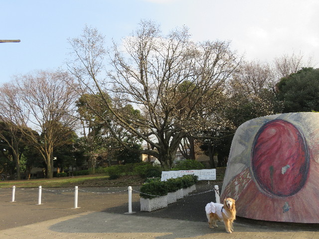 ファイル 5611-4.jpg