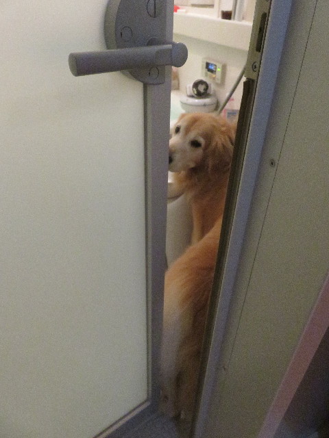 ファイル 5612-2.jpg