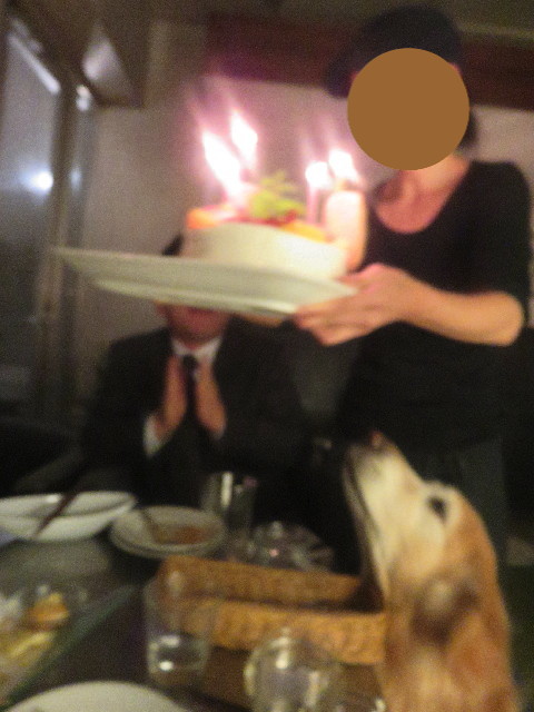 ファイル 5613-2.jpg