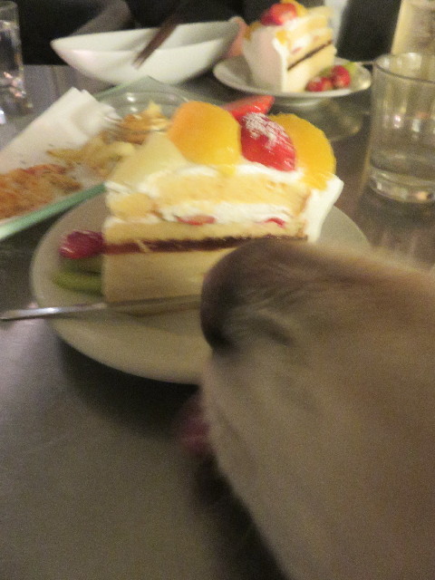 ファイル 5613-5.jpg