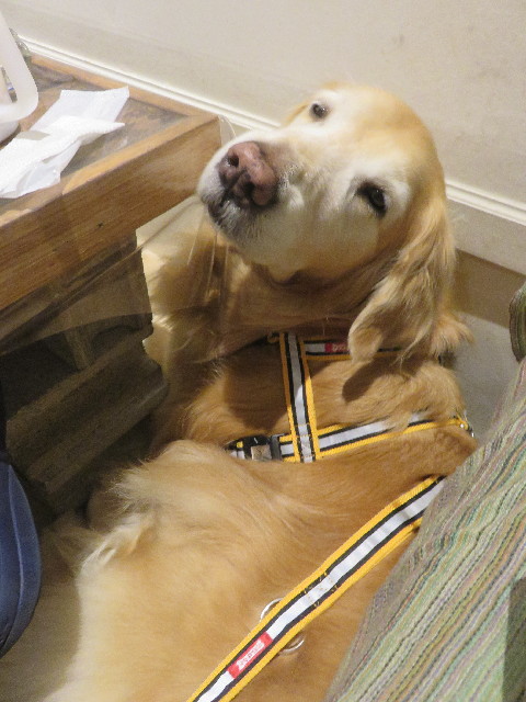 ファイル 5617-3.jpg