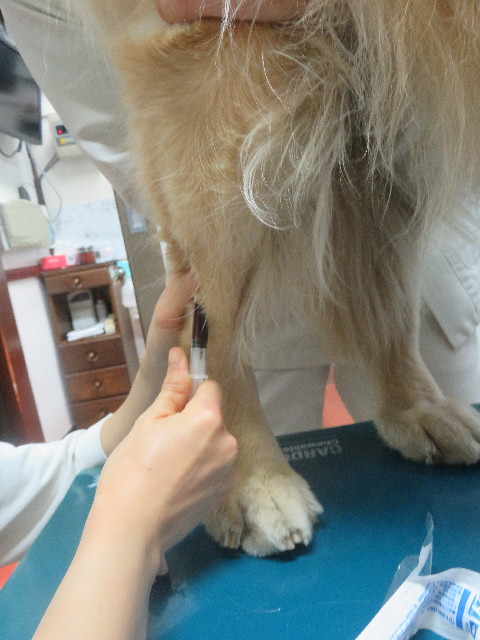 ファイル 5617-4.jpg