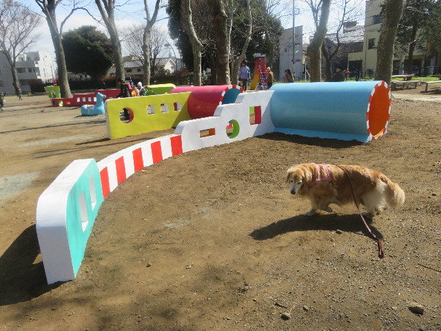 ファイル 5618-2.jpg