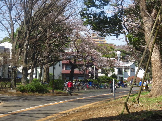 ファイル 5618-3.jpg