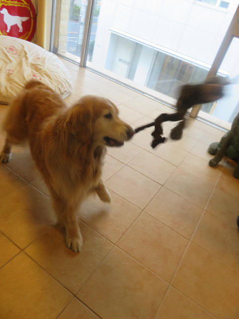 ファイル 5618-4.jpg