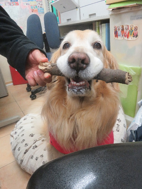 ファイル 5618-5.jpg