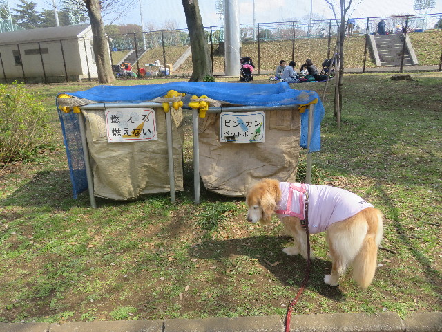 ファイル 5619-5.jpg