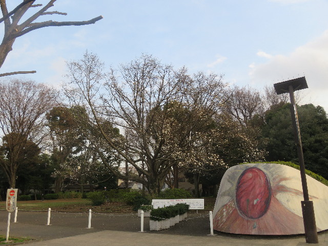 ファイル 5620-4.jpg