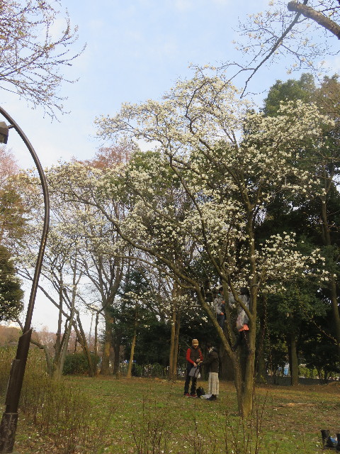 ファイル 5620-5.jpg