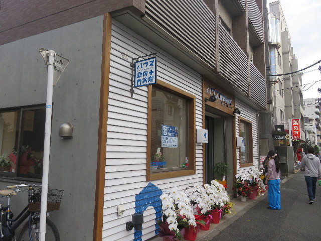 ファイル 5621-5.jpg