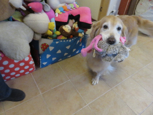 ファイル 5622-5.jpg