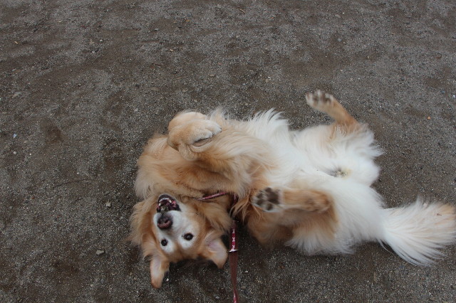 ファイル 5628-3.jpg