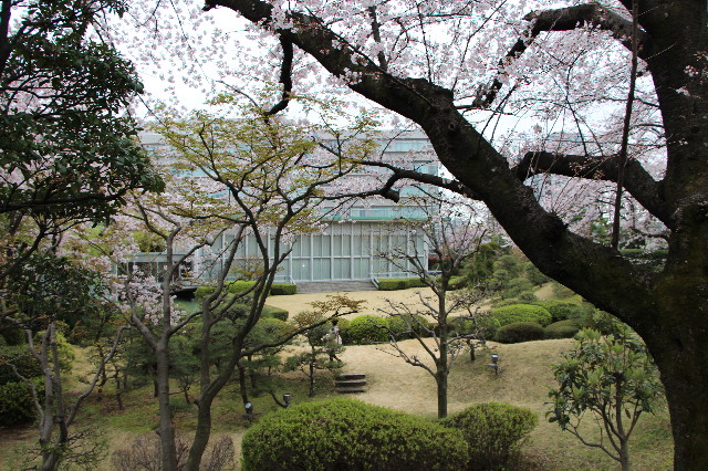 ファイル 5629-2.jpg