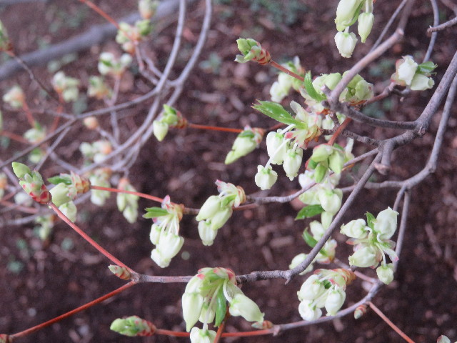 ファイル 5630-3.jpg