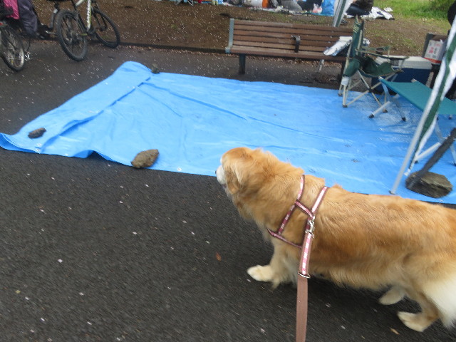 ファイル 5630-5.jpg