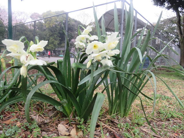 ファイル 5631-5.jpg