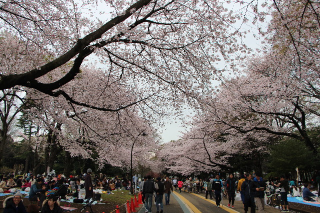 ファイル 5632-4.jpg