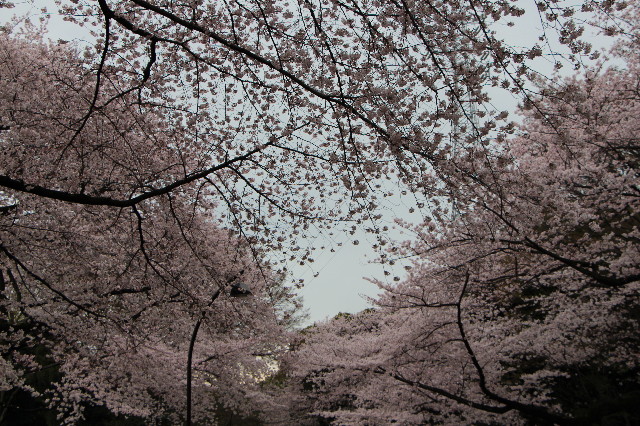 ファイル 5632-5.jpg