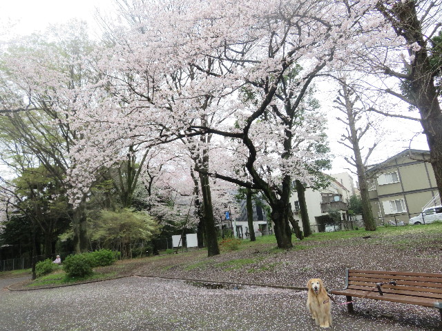 ファイル 5636-3.jpg