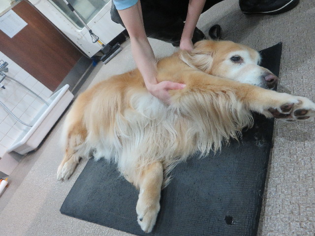 ファイル 5637-3.jpg