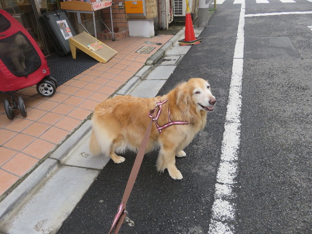 ファイル 5638-2.jpg