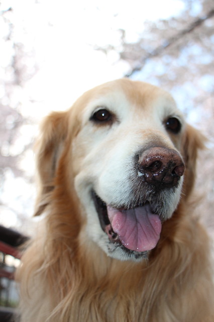 ファイル 5640-2.jpg