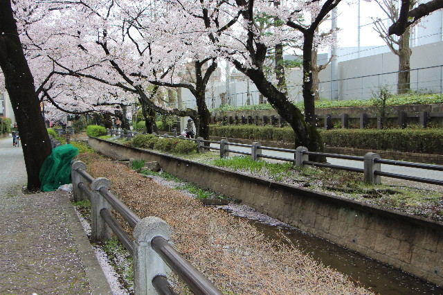 ファイル 5640-3.jpg