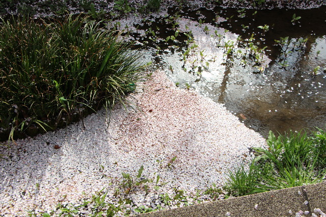 ファイル 5640-4.jpg