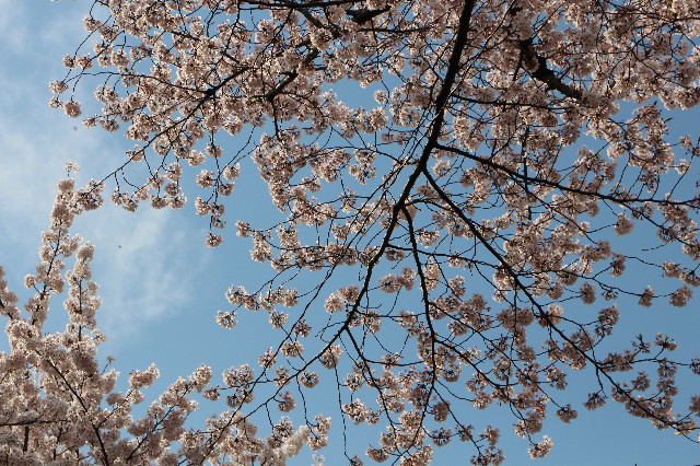 ファイル 5640-5.jpg