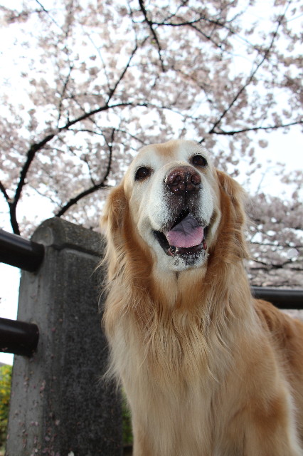 ファイル 5642-2.jpg