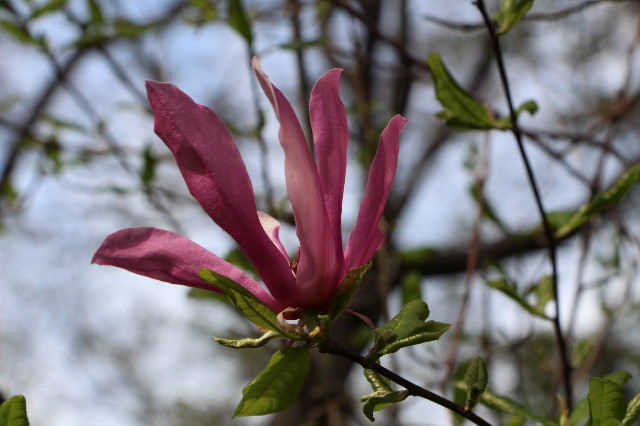 ファイル 5645-2.jpg