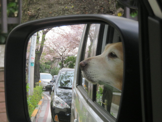 ファイル 5649-5.jpg