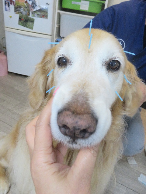 ファイル 5653-1.jpg