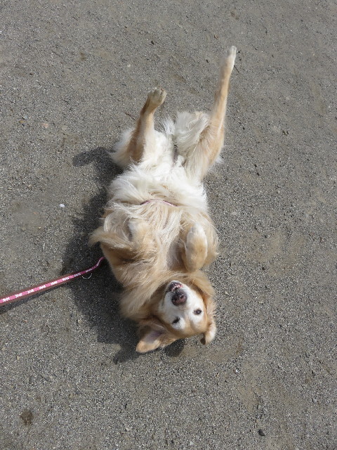 ファイル 5653-3.jpg