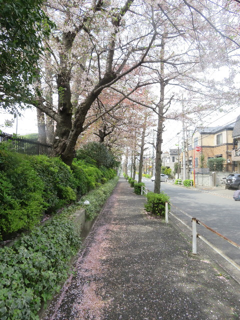 ファイル 5655-1.jpg