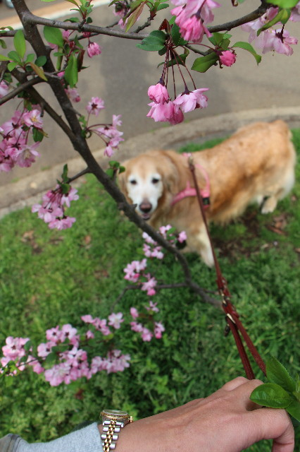 ファイル 5655-5.jpg