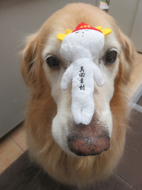 ファイル 5657-4.jpg