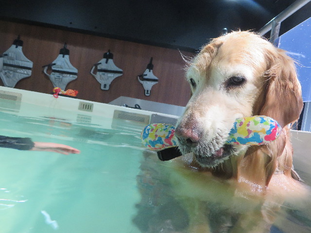 ファイル 5658-3.jpg