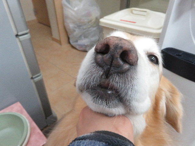 ファイル 5659-1.jpg