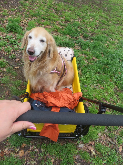 ファイル 5661-5.jpg