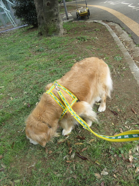 ファイル 5667-1.jpg