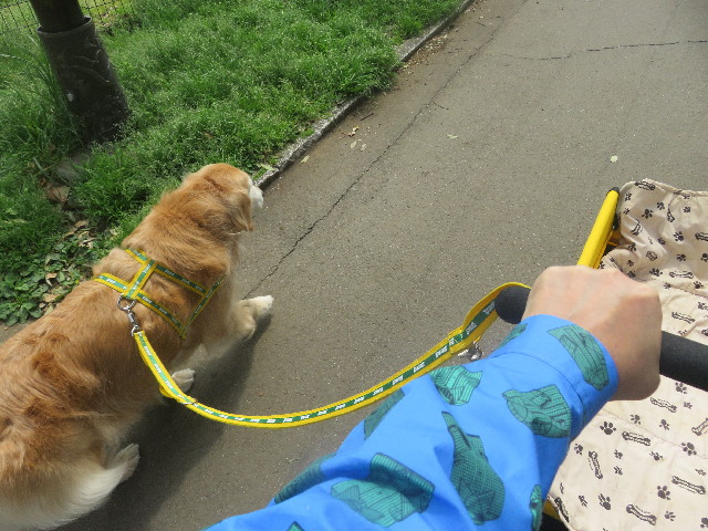 ファイル 5667-2.jpg