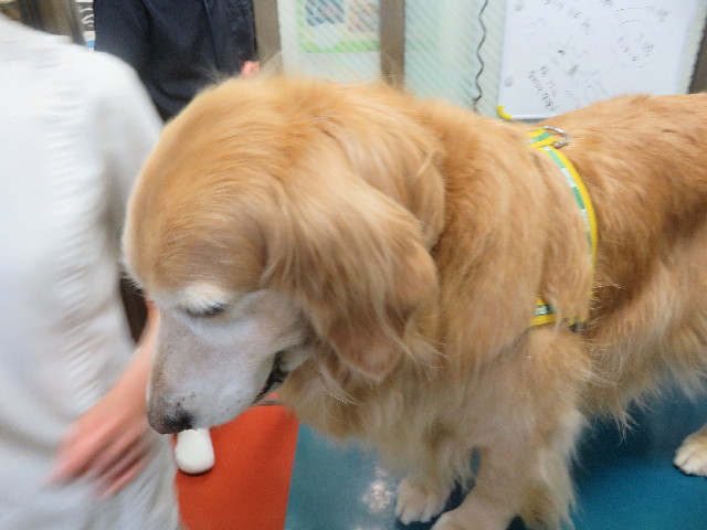 ファイル 5667-3.jpg