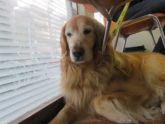 ファイル 5667-4.jpg