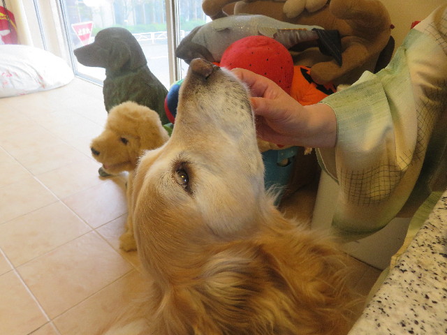 ファイル 5668-2.jpg