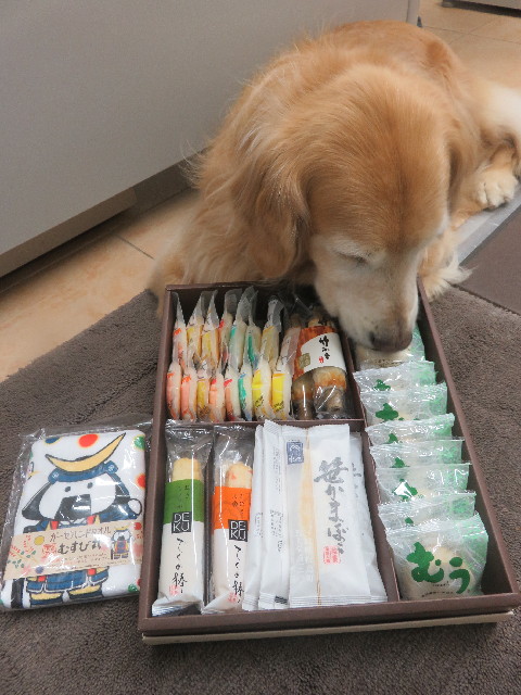 ファイル 5668-4.jpg