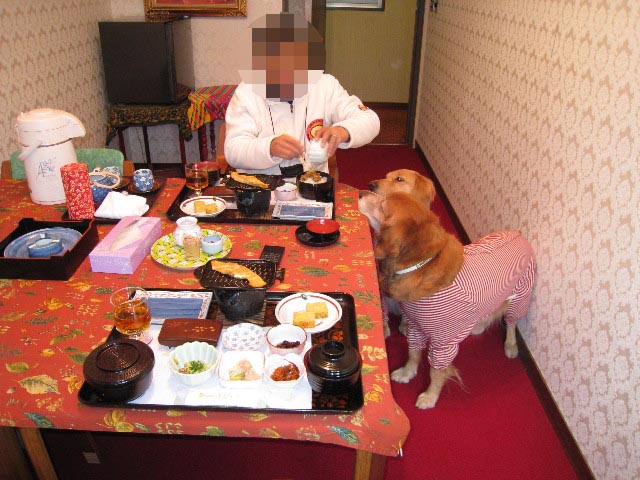 ファイル 567-4.jpg