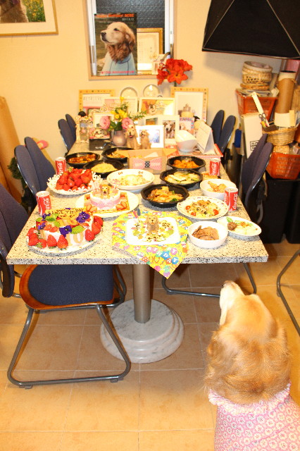 ファイル 5670-1.jpg