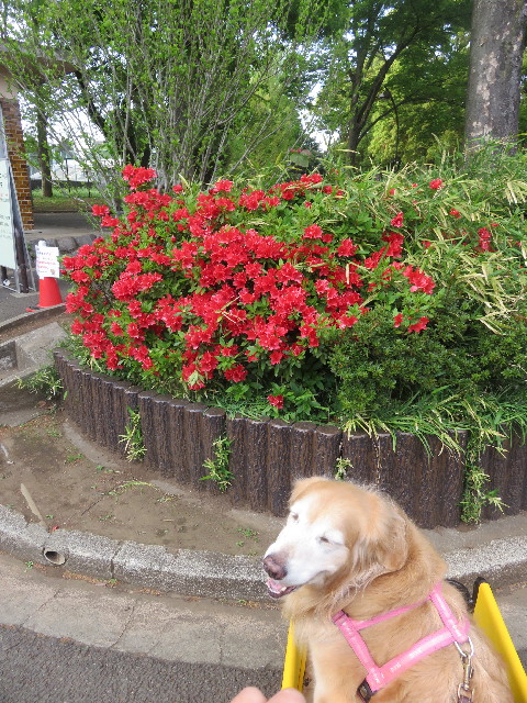 ファイル 5673-4.jpg